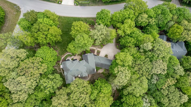 821 Chatfield Rd, New Lenox, IL 60451 - aerial overview of property's location with a tree filled landscape