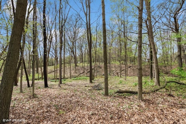 821 Chatfield Rd, New Lenox, IL 60451 - view of nature