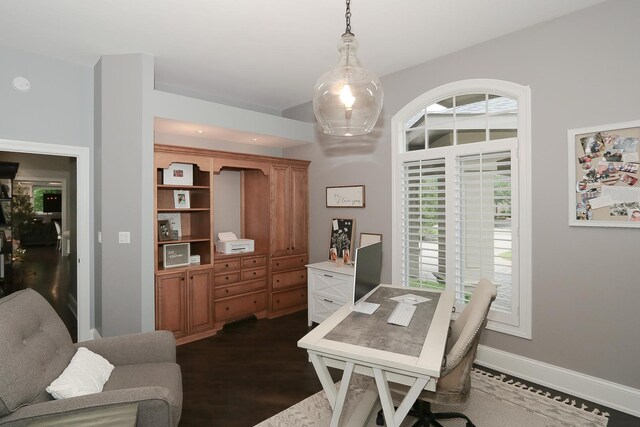 67 Katrina Ln, Sleepy Hollow, IL 60118 - office featuring dark wood finished floors and baseboards