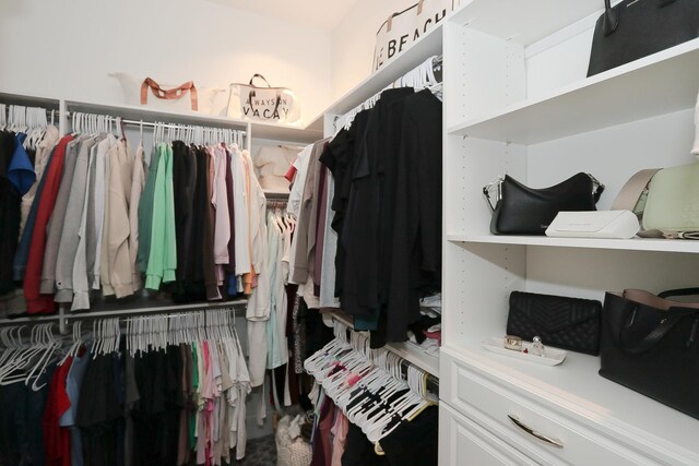 67 Katrina Ln, Sleepy Hollow, IL 60118 - view of spacious closet
