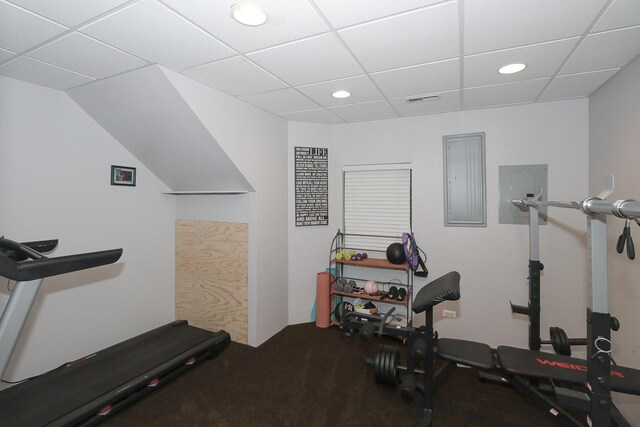 67 Katrina Ln, Sleepy Hollow, IL 60118 - exercise room featuring carpet floors, recessed lighting, a drop ceiling, and electric panel