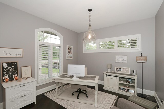 67 Katrina Ln, Sleepy Hollow, IL 60118 - home office featuring baseboards and dark wood-style flooring