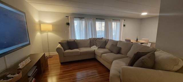 living area with dark wood-type flooring