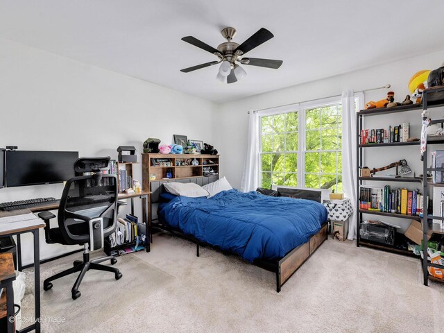 1301 Hawkins Ct, Saint Charles, IL 60174 - carpeted bedroom featuring ceiling fan
