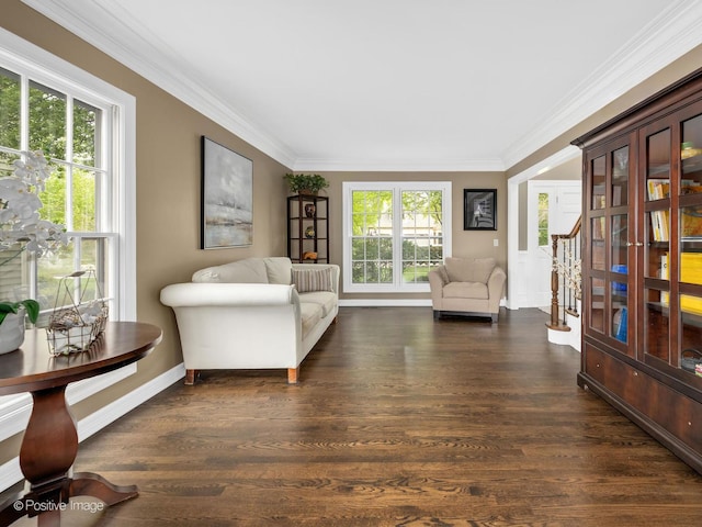 1301 Hawkins Ct, Saint Charles, IL 60174 - living area featuring crown molding, baseboards, and dark wood-type flooring