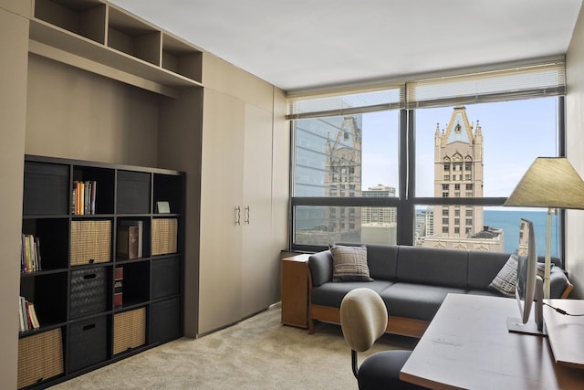 400 E Ohio St Unit 3203, Chicago, IL 60611 - office area with carpet floors, a city view, and expansive windows
