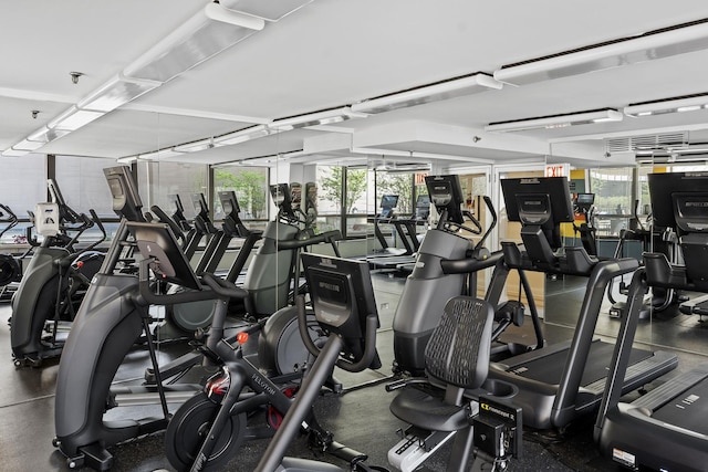 400 E Ohio St Unit 3203, Chicago, IL 60611 - view of gym