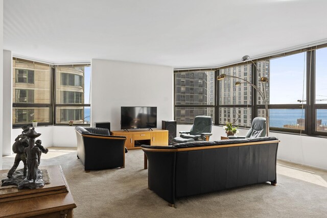 400 E Ohio St Unit 3203, Chicago, IL 60611 - view of carpeted office