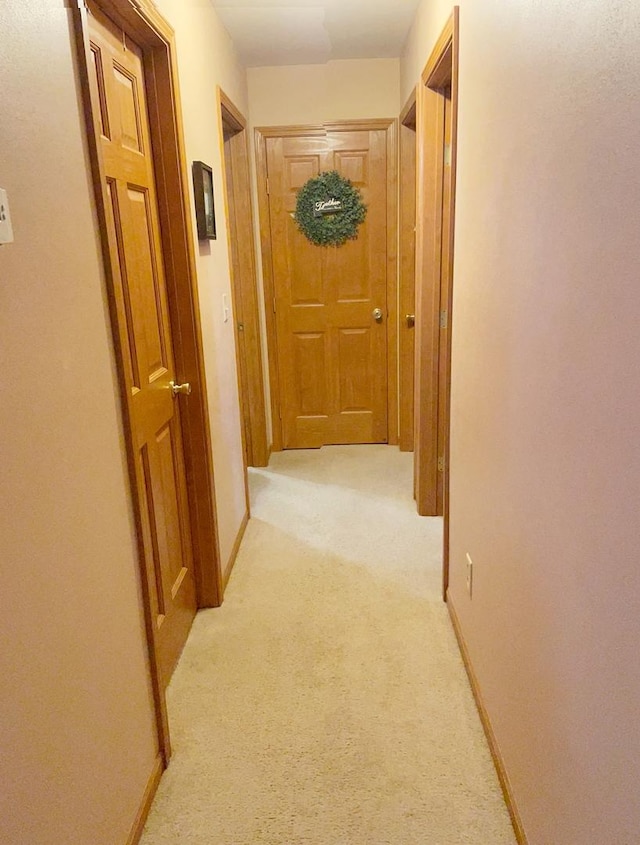 753 Golden Prairie Dr, Davis Junction, IL 61020 - hall with light carpet and baseboards