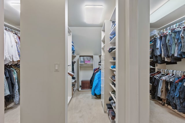 2S546 Heaton Dr, Batavia, IL 60510 - walk in closet featuring carpet flooring
