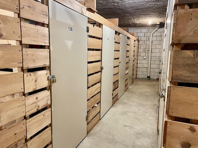 519 N Main St Unit 4Bn, Glen Ellyn, IL 60137 - view of storage area