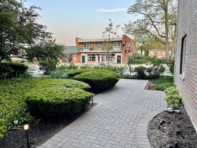 519 N Main St Unit 4Bn, Glen Ellyn, IL 60137 - view of community