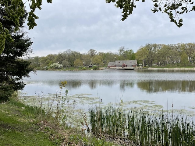 519 N Main St Unit 4Bn, Glen Ellyn, IL 60137 - water view