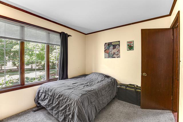 carpeted bedroom with ornamental molding and multiple windows