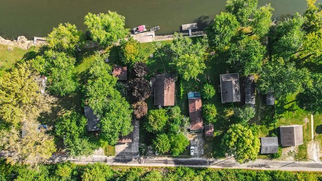 bird's eye view