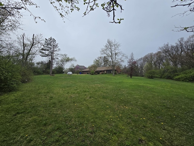 8401 W 129th St, Palos Park, IL 60464 - view of yard