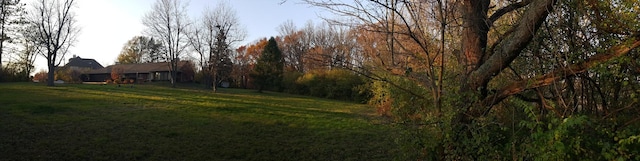 8401 W 129th St, Palos Park, IL 60464 - view of yard