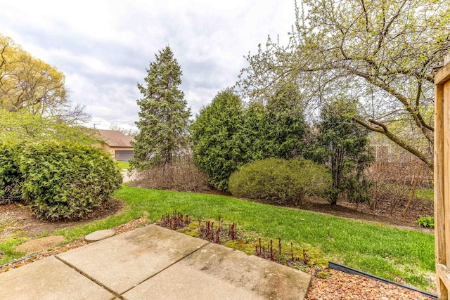 view of yard with a patio