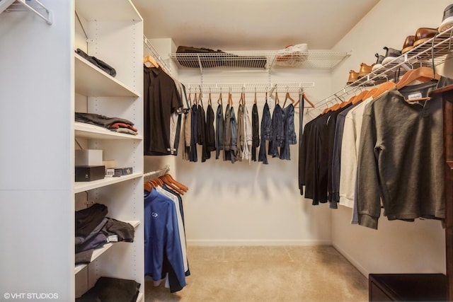 walk in closet with carpet flooring