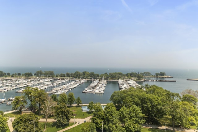 3300 N Lake Shore Dr Unit 12B, Chicago, IL 60657 - water view featuring numerous boat docks