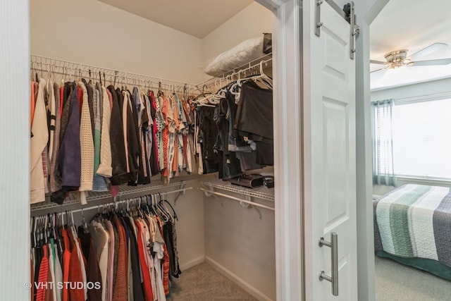 1674 Francis Dr, Pingree Grove, IL 60140 - spacious closet with carpet floors, a ceiling fan, and a barn door