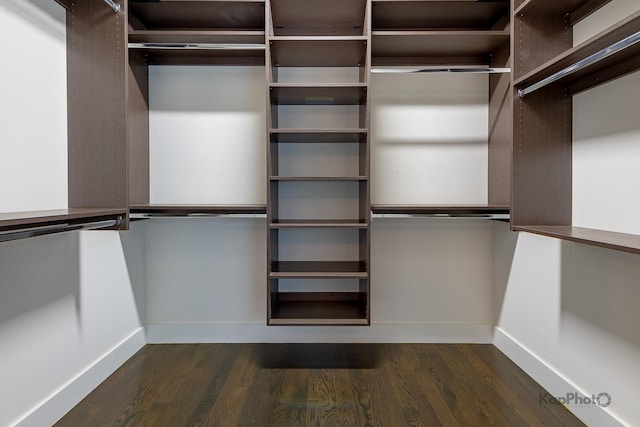 walk in closet featuring dark wood-type flooring