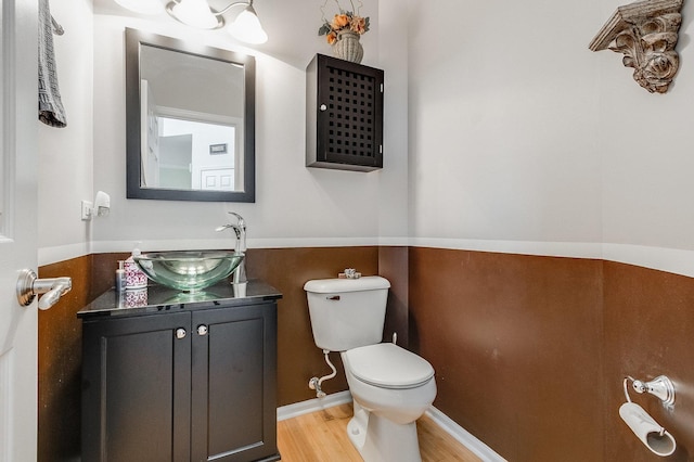 bathroom featuring vanity, toilet, and wood finished floors