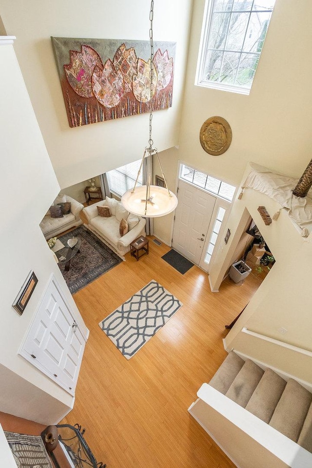 foyer with a towering ceiling and wood finished floors