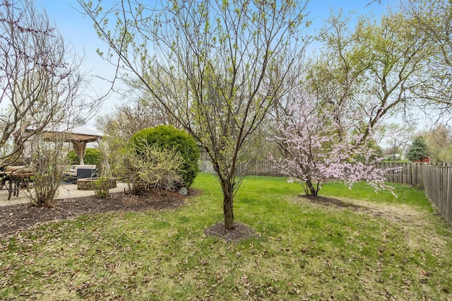 view of yard with a gazebo and a fenced backyard