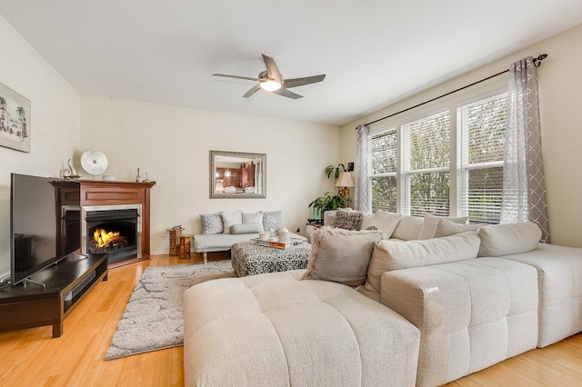 living room with ceiling fan, a lit fireplace, and light wood-style floors