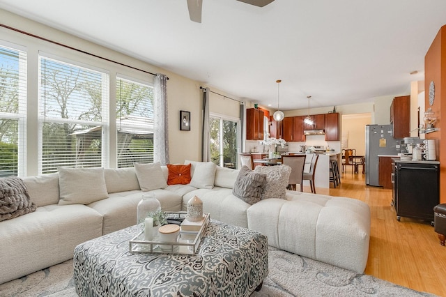 living room with ceiling fan and light wood-type flooring