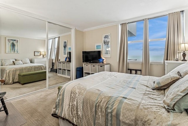 carpeted bedroom with crown molding and a closet