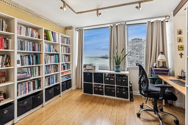 office featuring track lighting and wood finished floors