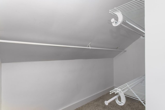 spacious closet featuring carpet floors