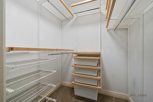 590 Academy Woods Dr, Lake Forest, IL 60045 - walk in closet with carpet flooring
