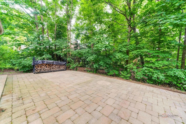 590 Academy Woods Dr, Lake Forest, IL 60045 - view of patio