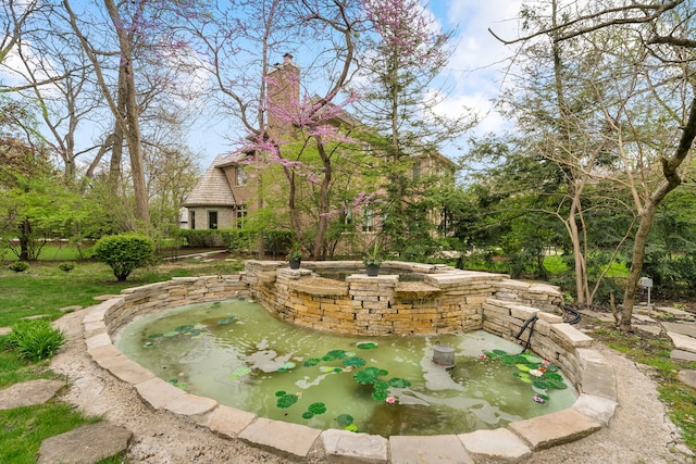 view of yard with a small pond