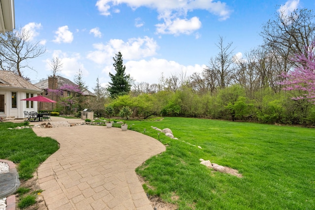 view of grassy yard with a patio area