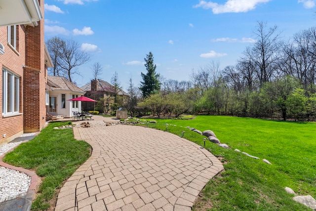 view of green lawn with a patio area and entry steps