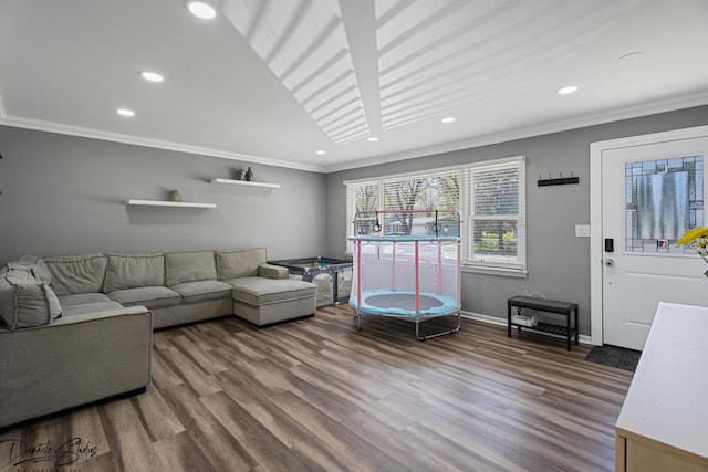 16121 S Harmony Dr, Plainfield, IL 60586 - living area featuring crown molding, baseboards, recessed lighting, and wood finished floors