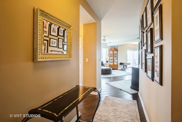 hall with baseboards and dark wood finished floors