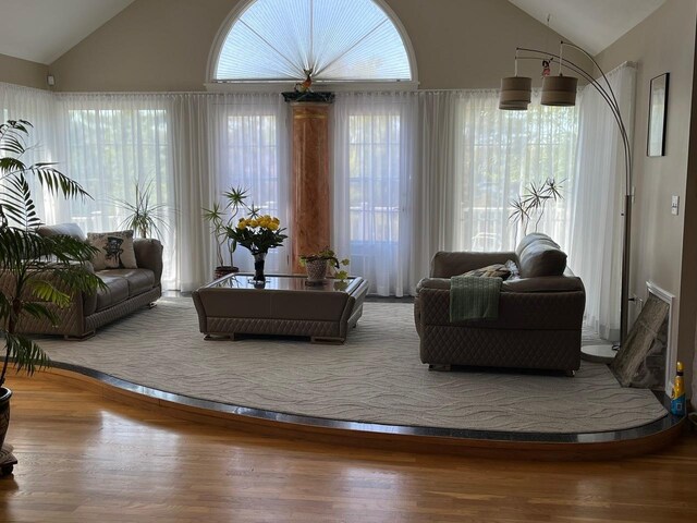24270 N Forest Dr, Lake Zurich, IL 60047 - living area featuring vaulted ceiling and wood finished floors