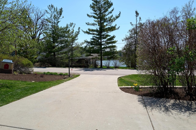 24270 N Forest Dr, Lake Zurich, IL 60047 - surrounding community featuring curved driveway