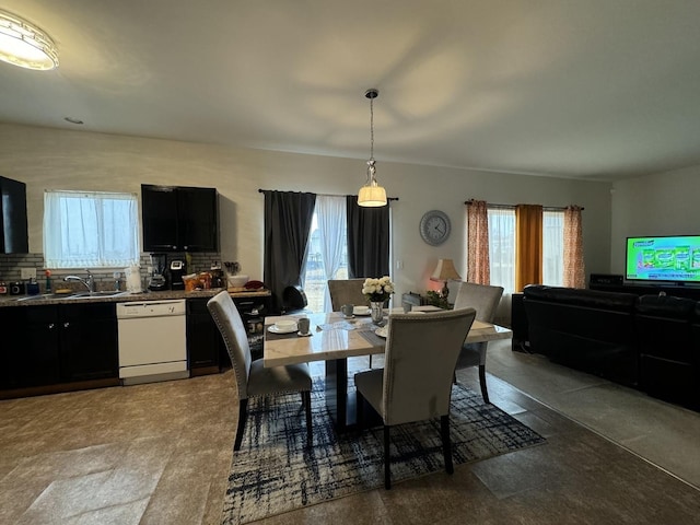 dining area featuring a wealth of natural light