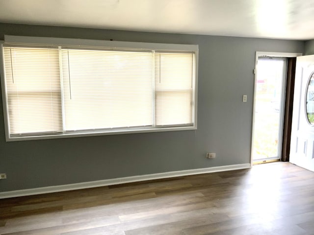 entryway with baseboards and wood finished floors
