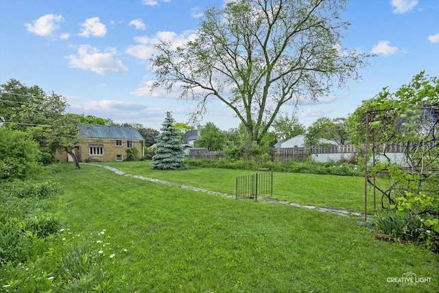 33 Chestnut Ave, Clarendon Hills, IL 60514 - view of yard