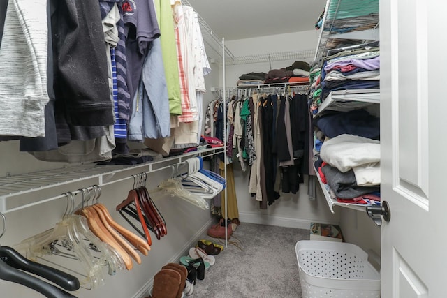 1309 Broad Creek Rd, Bloomington, IL 61704 - walk in closet with carpet