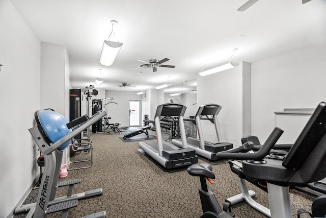 exercise room featuring a ceiling fan and carpet flooring