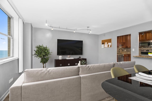 living room with baseboards and wood finished floors
