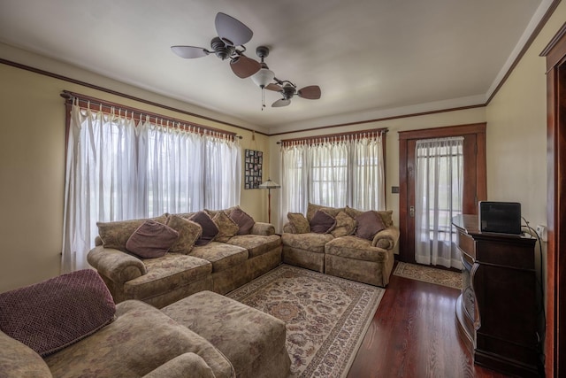 130 N Elm St, Leland, IL 60531 - living area with a ceiling fan, dark wood finished floors, a healthy amount of sunlight, and ornamental molding